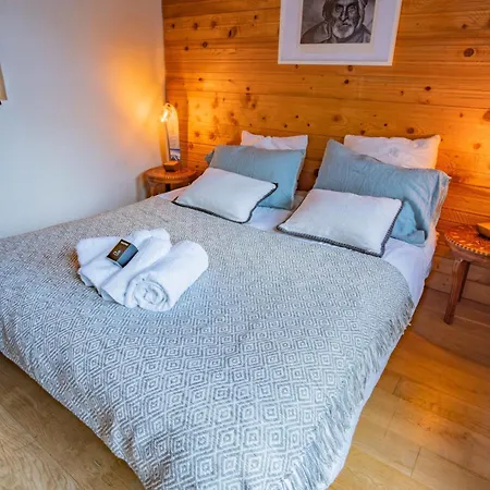 With Garden Close To The Slopes * Chamonix