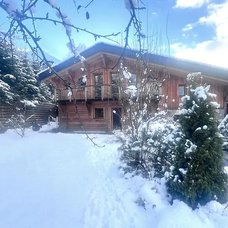 With Garden Close To The Slopes Alpehytte *